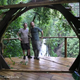 Illustration for article titled Bellavista's Biodigesting Treehouses Are Endor on Earth